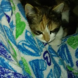 Meet your Posher, Cyndi